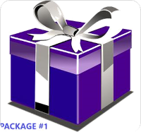 Purple Gift